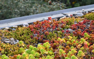 the cost of Greenloaning green roof installation