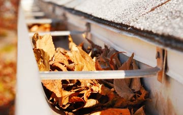 Greenloaning gutter cleaning companies