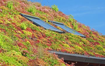 Greenloaning living roof systems