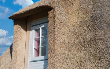 Greenloaning thatch roof disadvantages